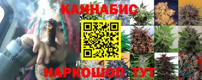 стафф Лесосибирск