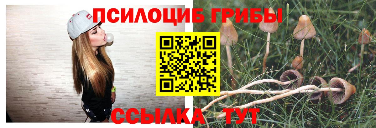 Псилоцибиновые грибы мухоморы  Вход с VPN  Галлюциногенные грибы MAGIC MUSHROOMS  Фурманов 